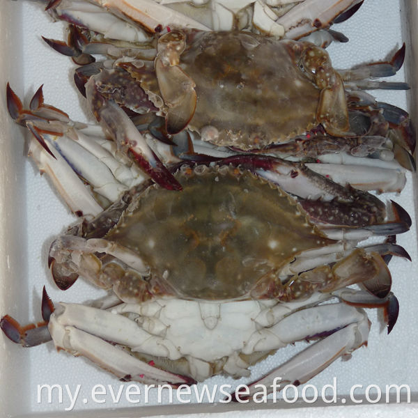 လတ်ဆတ်သော အေးခဲထားသော ကဏန်းထုပ်ပိုးခြင်း။